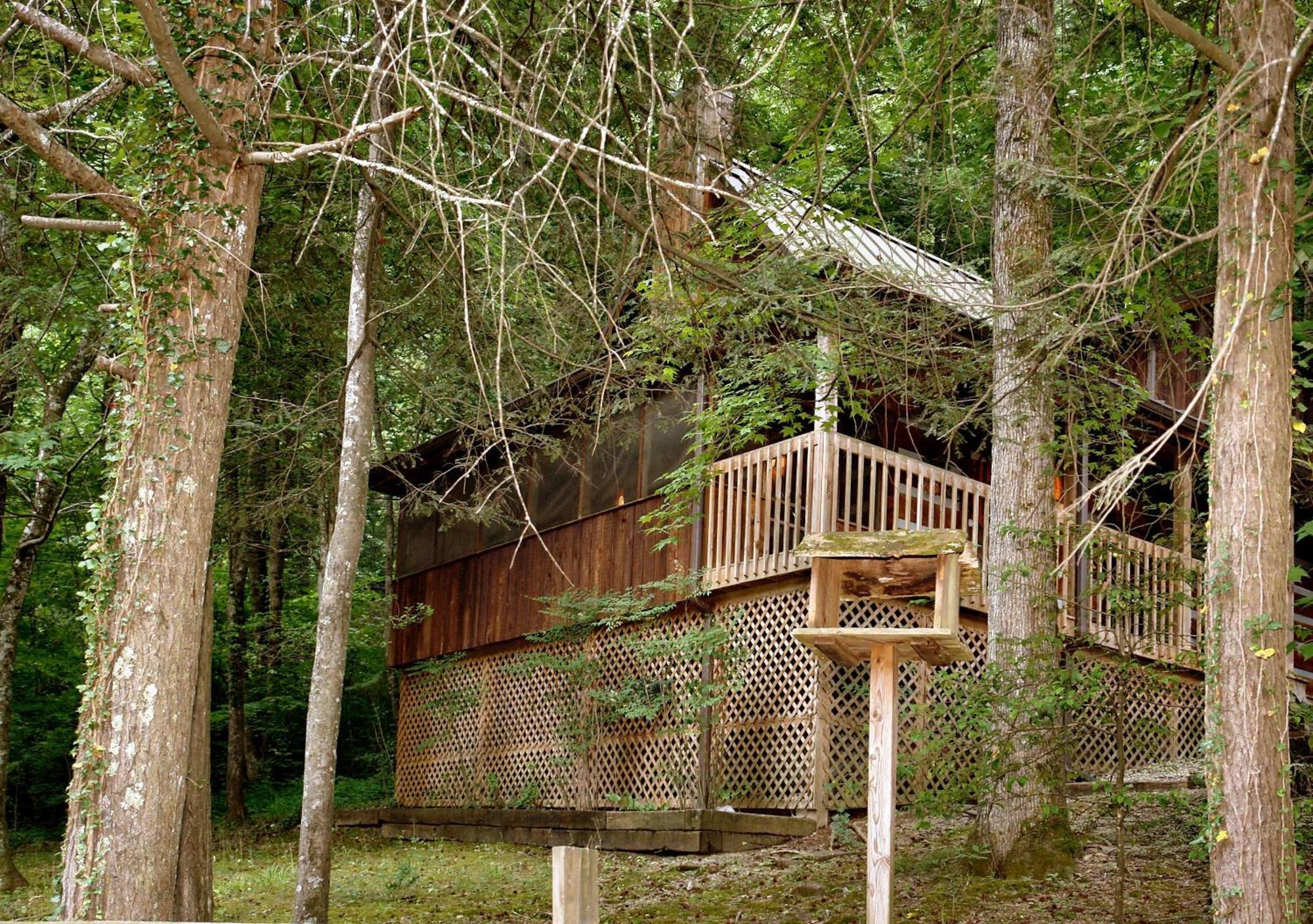 Parkside Party #1676 Villa Gatlinburg Bagian luar foto